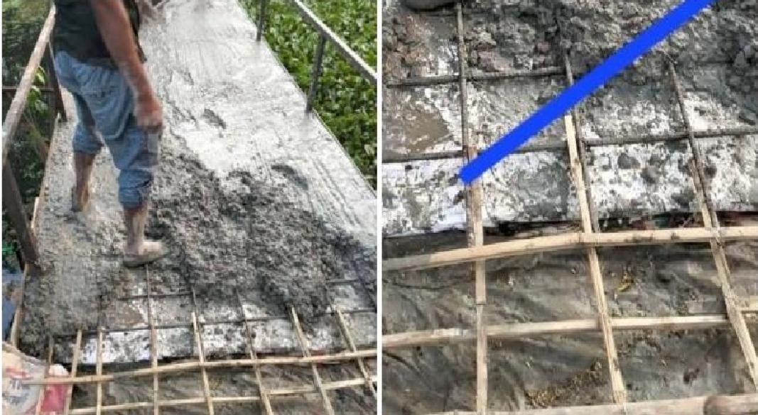 আয়রন ব্রিজে রডের বদলে বাঁশ ব্যবহারের অভিযোগ
