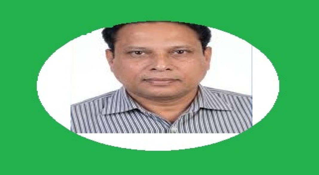 এইচ এম আনসার