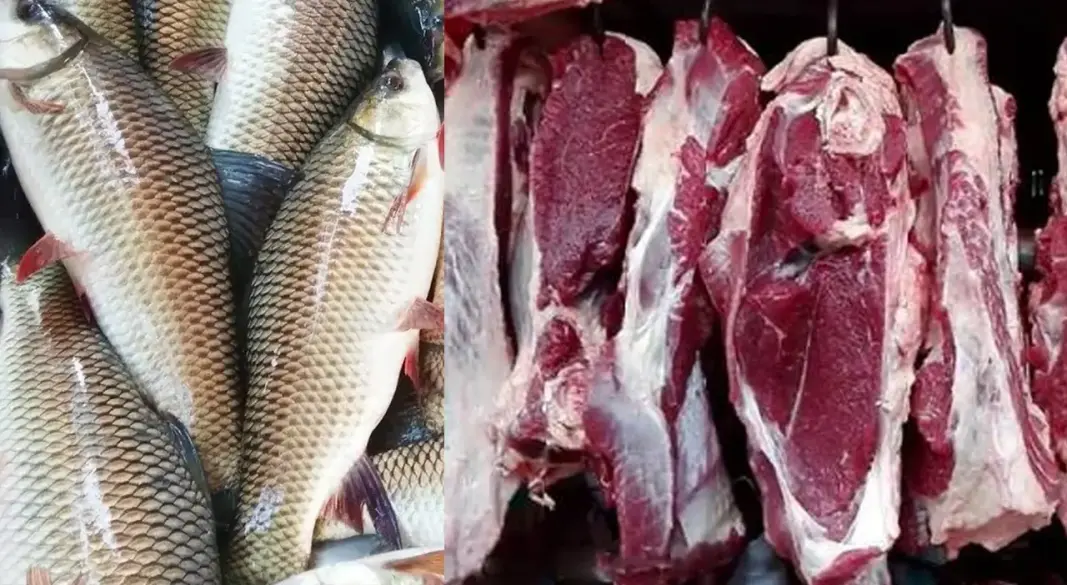 মাছ-মাংস