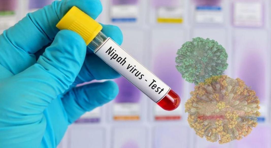 বাংলাদেশে নিপা ভাইরাস